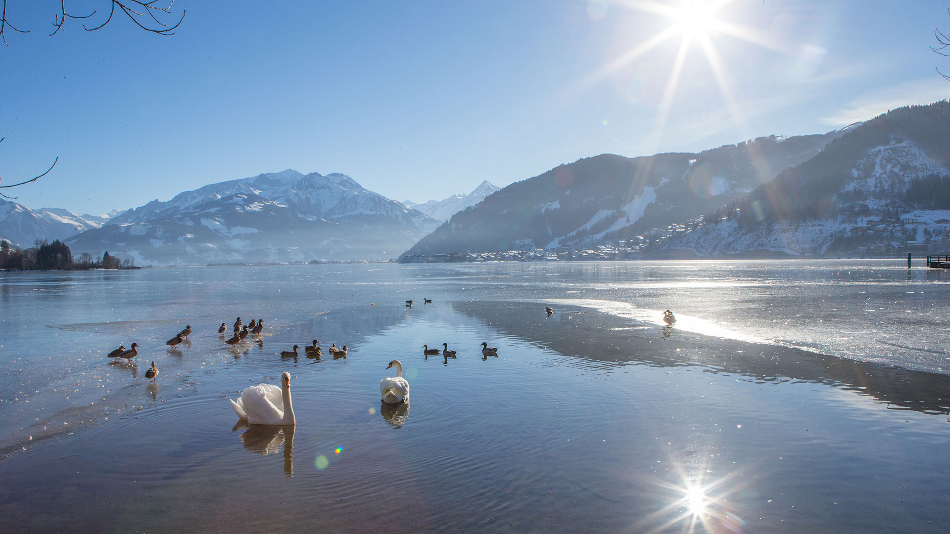 Village Appartement Zell am See
